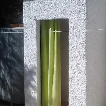Veronica In Baia